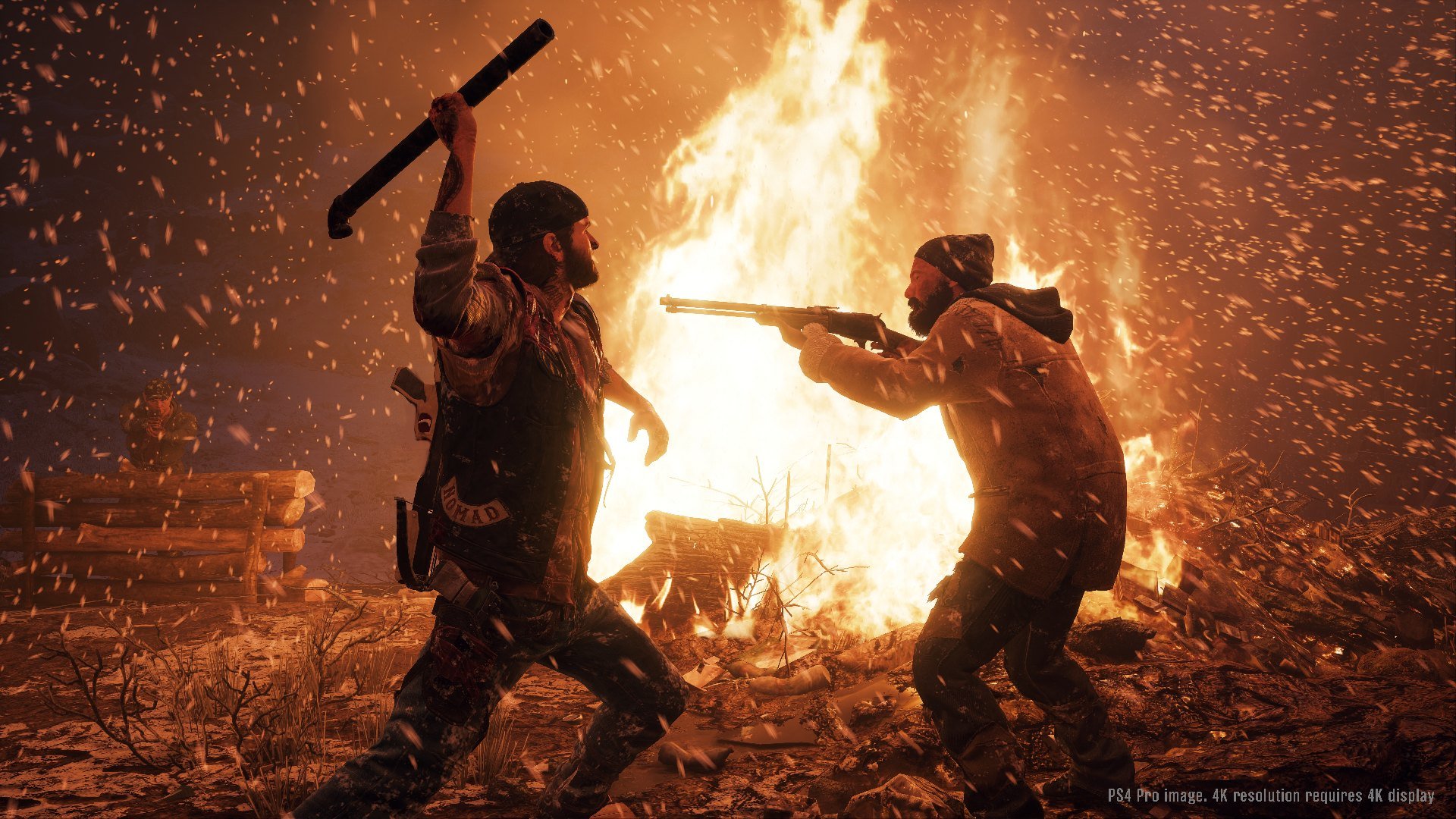 Days Gone - Imagen 14